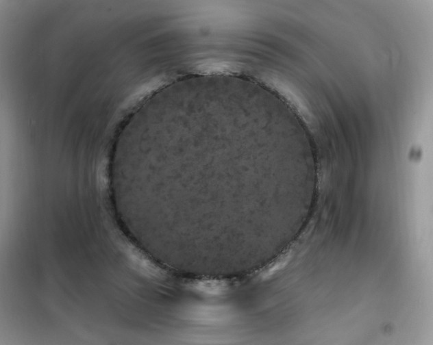 X0000102350353200808011209