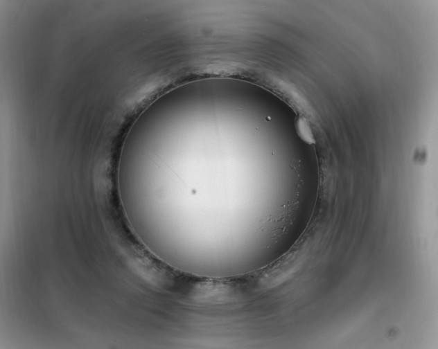 X0000102350354200808011209