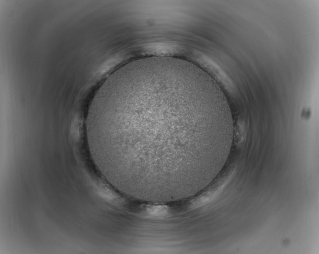 X0000102350355200808011209