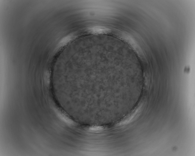 X0000102350357200808011209