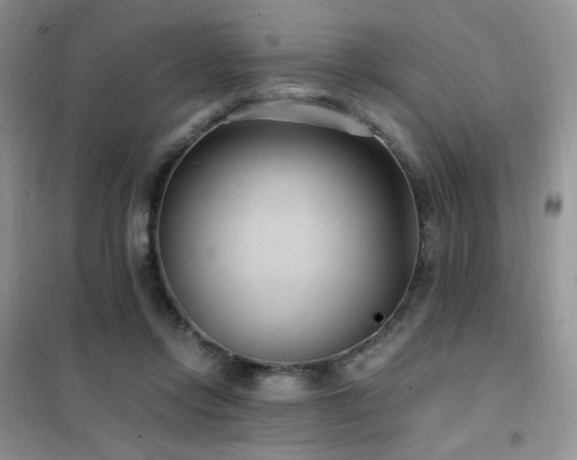 X0000102350358200808011209