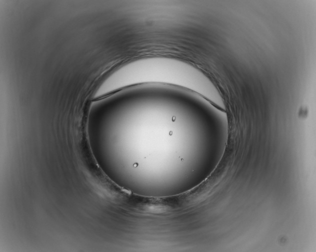 X0000102350360200808011209