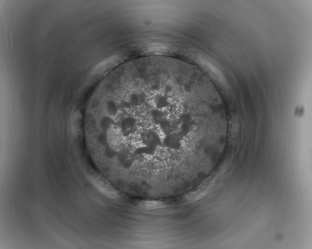 X0000102350361200808011209