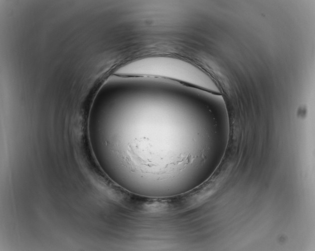 X0000102350362200808011209