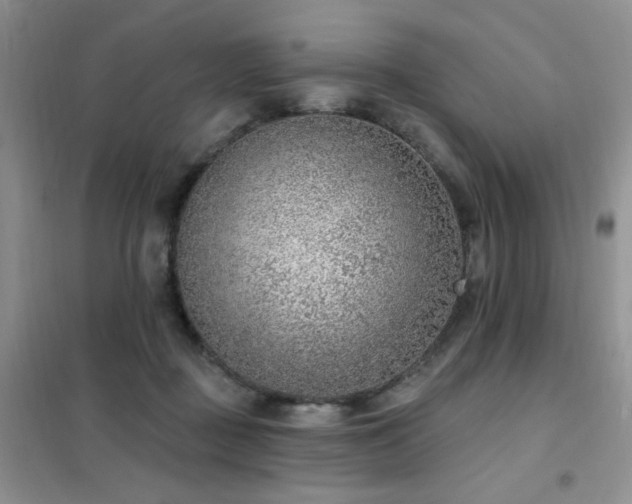 X0000102350363200808011209