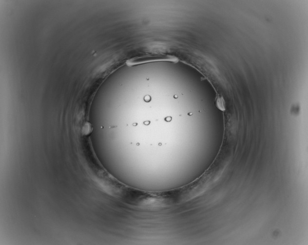 X0000102350364200808011209