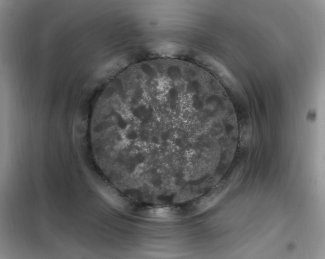 X0000102350365200808011209