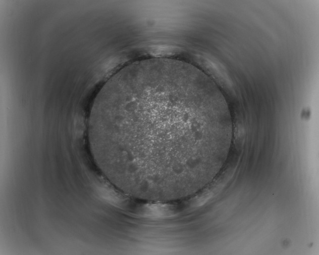 X0000102350367200808011209