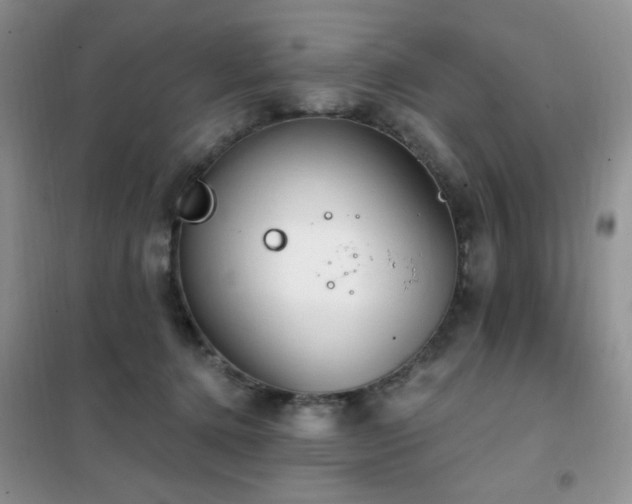 X0000102350368200808011209