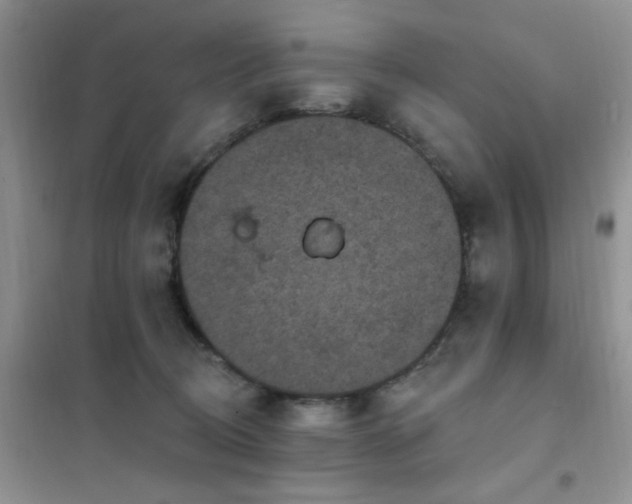 X0000102350370200808011209