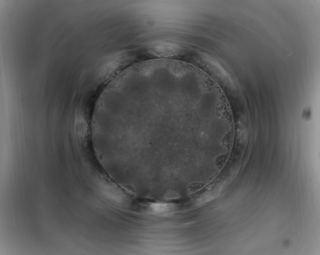 X0000102350371200808011209