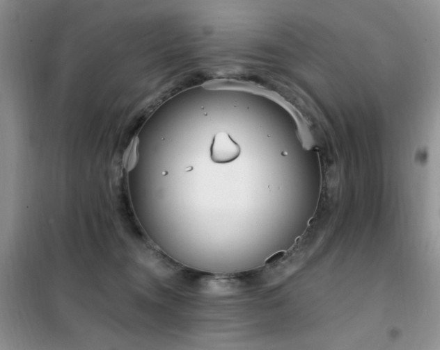 X0000102350372200808011209