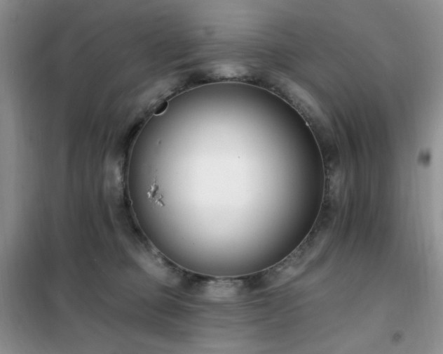 X0000102350373200808011209