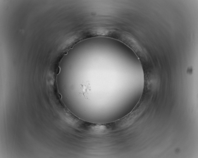 X0000102350374200808011209