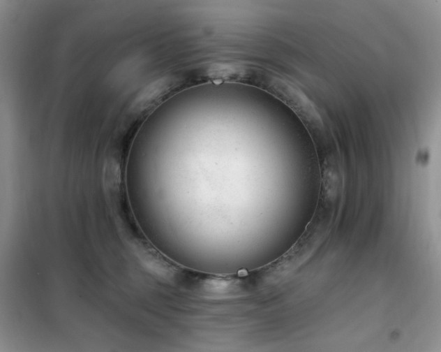 X0000102350375200808011209