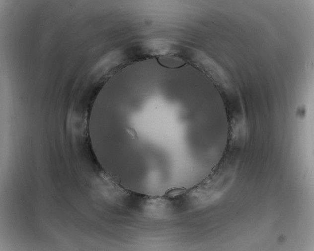 X0000102350376200808011209