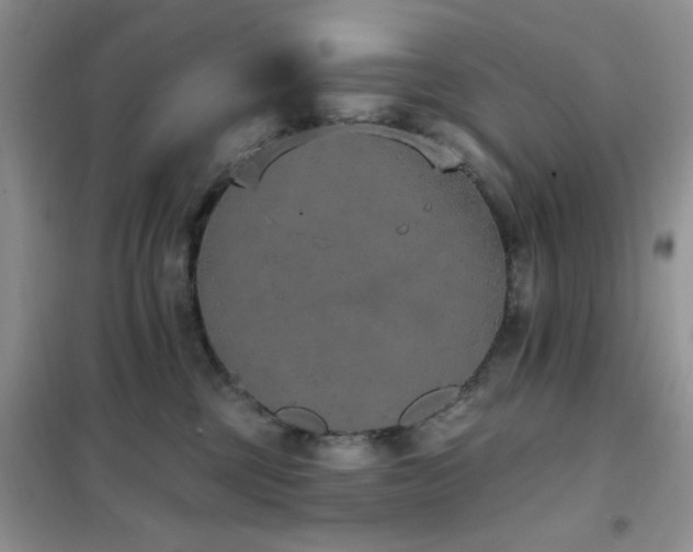 X0000102350377200808011209