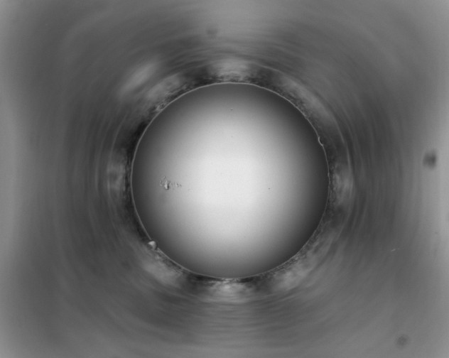 X0000102350379200808011209