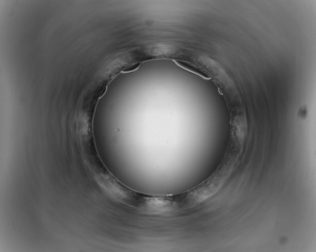 X0000102350380200808011209