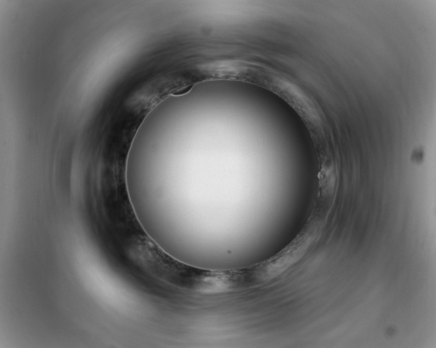 X0000102350381200808011209