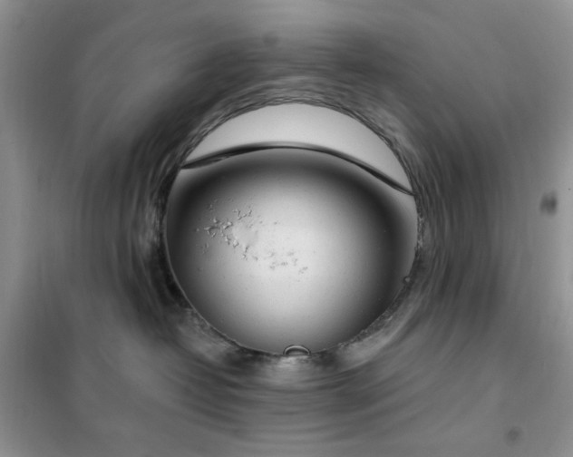 X0000102350382200808011209