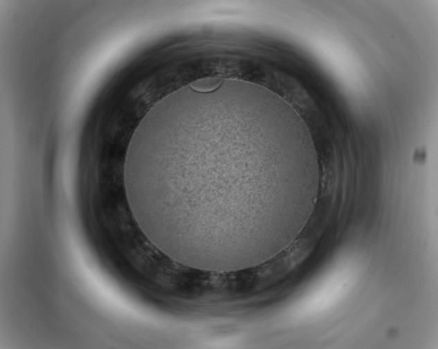 X0000102350383200808011209