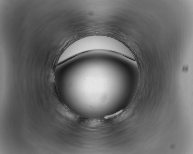 X0000102350384200808011209