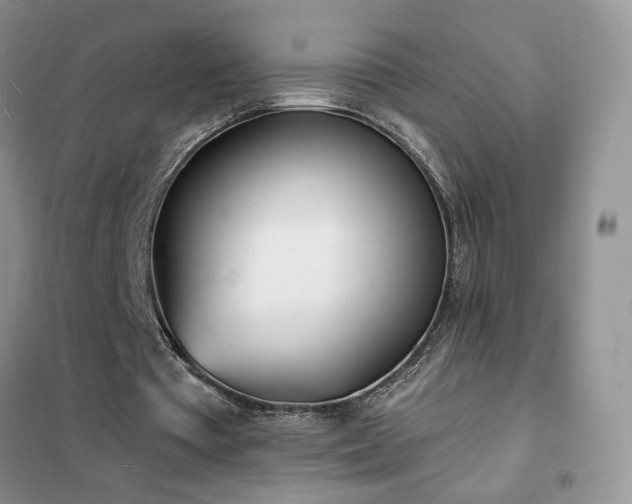 X0000102350385200808011209