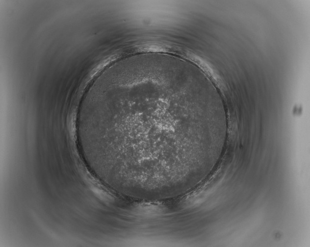 X0000102350386200808011209