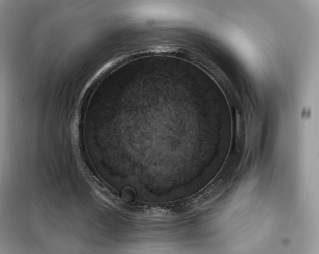 X0000102350387200808011209