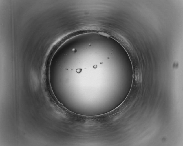 X0000102350388200808011209