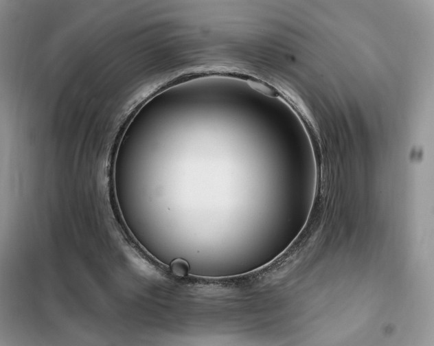 X0000102350389200808011209