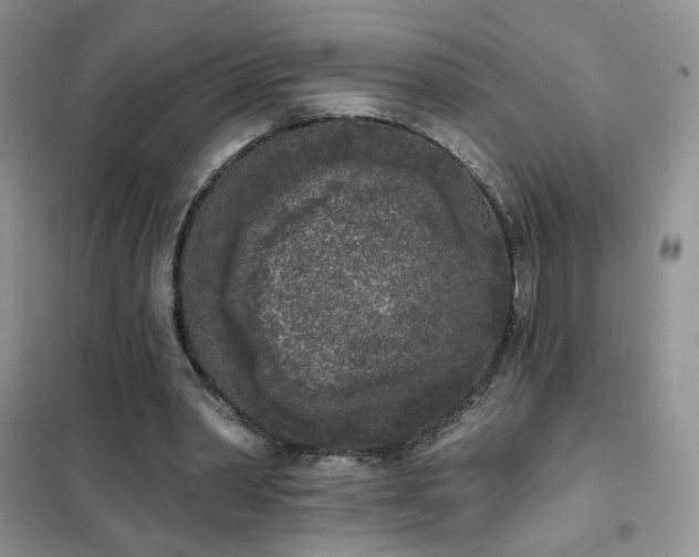 X0000102350390200808011209