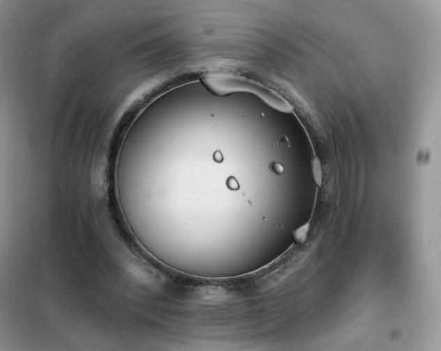 X0000102350392200808011209