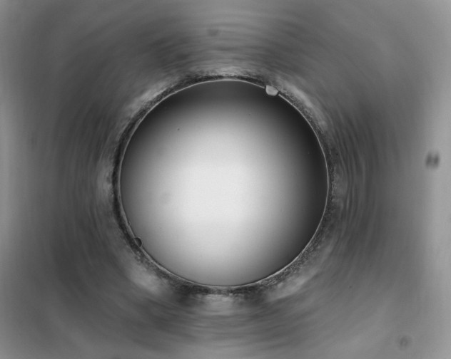 X0000102350394200808011209