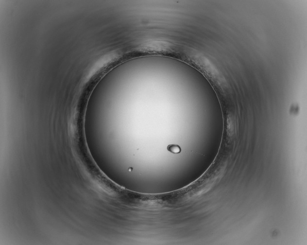 X0000102350396200808011209