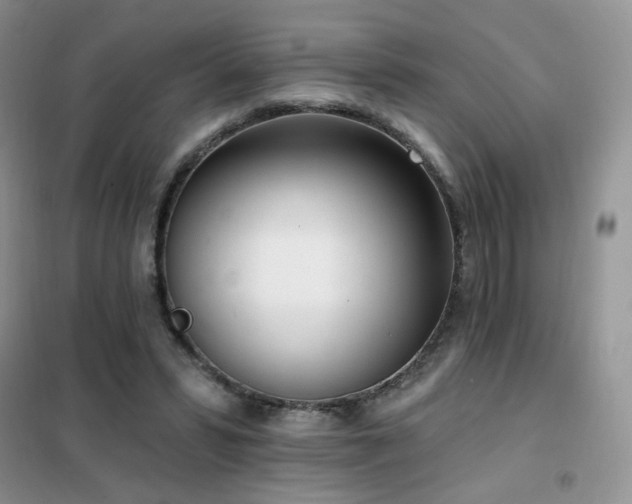 X0000102350399200808011209