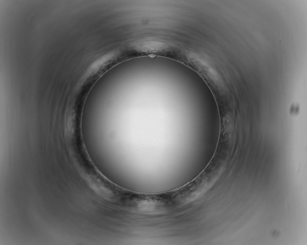 X0000102350400200808011209