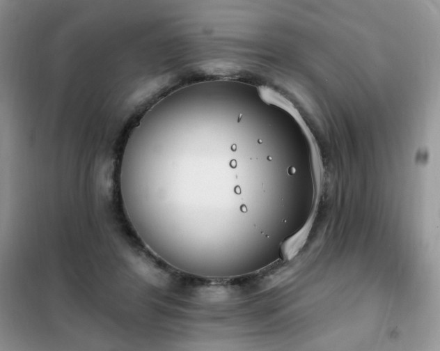 X0000102350404200808011208