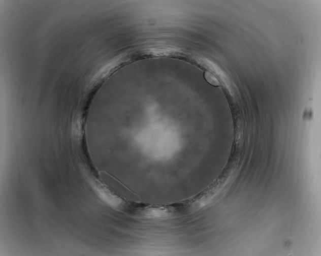 X0000102350405200808011208