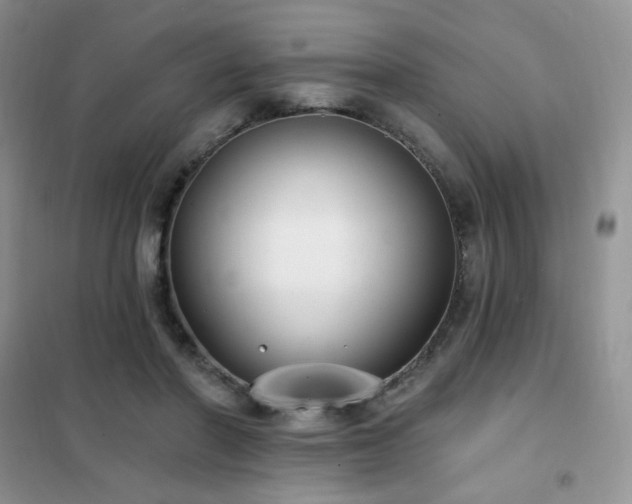 X0000102350406200808011208