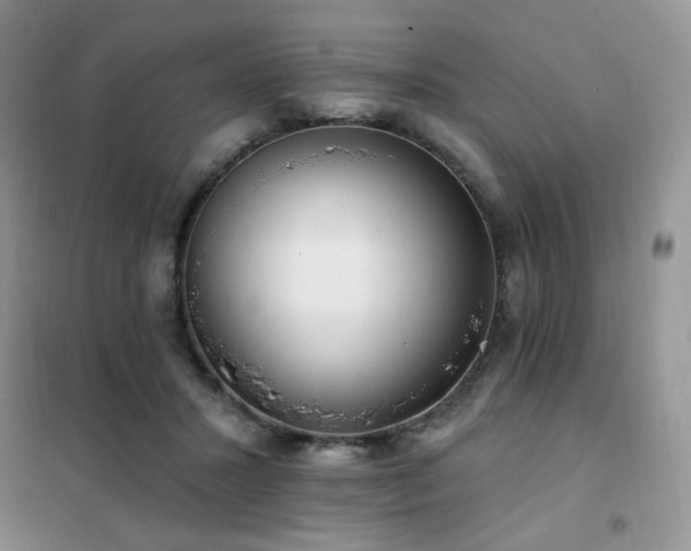 X0000102350407200808011208