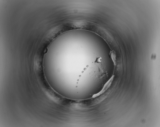 X0000102350408200808011208