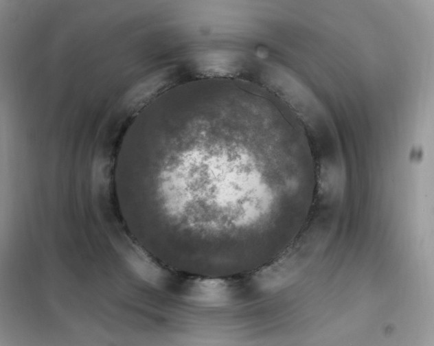 X0000102350409200808011208