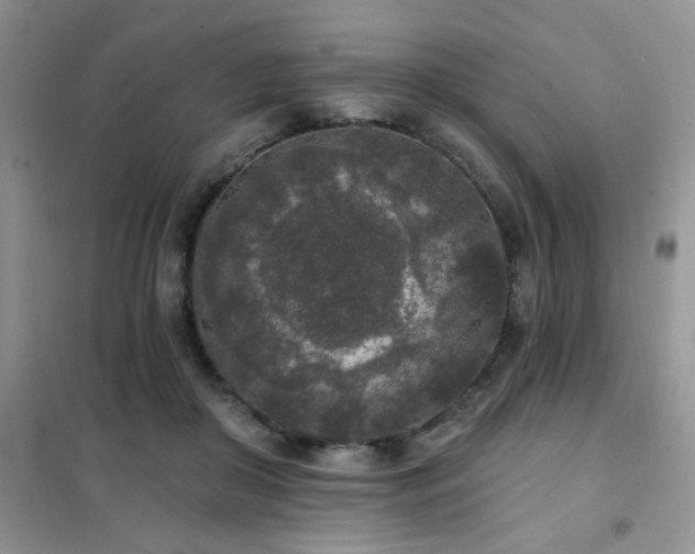 X0000102350410200808011208