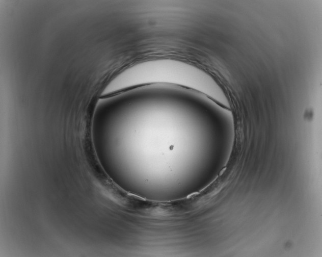 X0000102350412200808011208