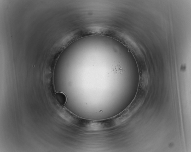 X0000102350413200808011208