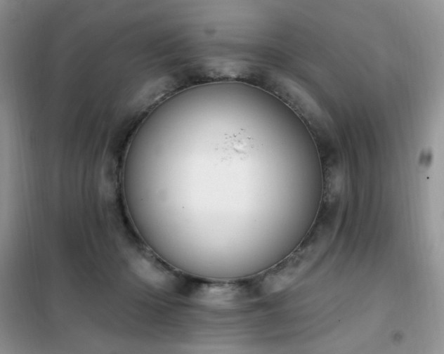 X0000102350414200808011208