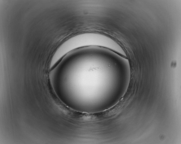 X0000102350415200808011208