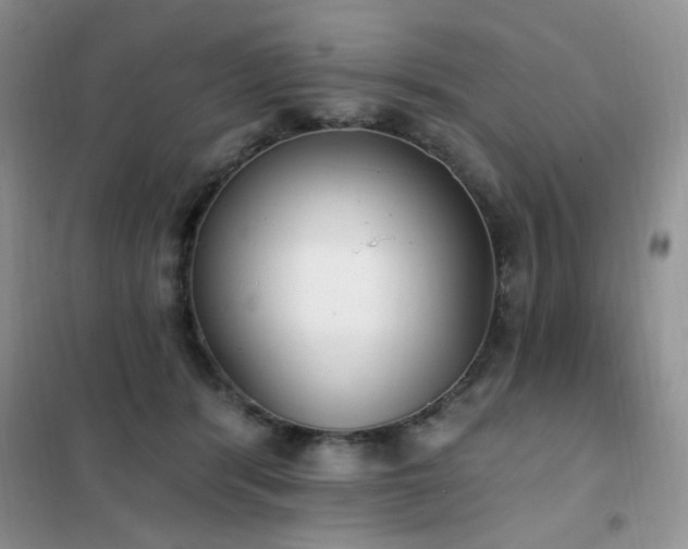 X0000102350416200808011208